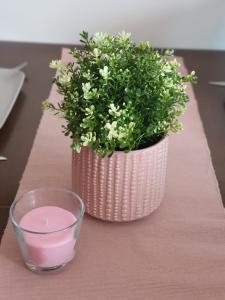 Le Soleil Apartman Vrnjačka Banja