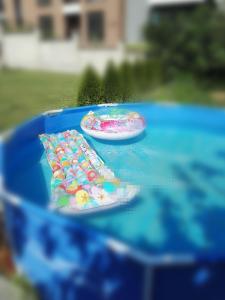 Вила Полина