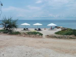 Porto Almira Beachfront Apartrments