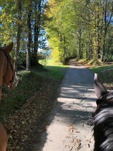 Appartements Haras du sablon au coeur du parc regional du perche : photos des chambres