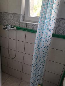 Apartman Milica