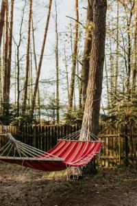 Ulążki17 - stary, tylko odświeżony dom na brzegu jeziora w sercu lasu