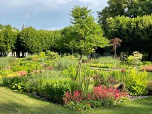 Maisons de vacances maison d'hotes de l'orangerie 14 personnes : photos des chambres