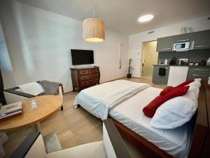 Harfa Apartment 30
