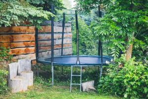 Chalets Chalet Melezor : photos des chambres