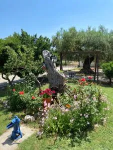 Wine & Olive Studio - 基拉奇尼