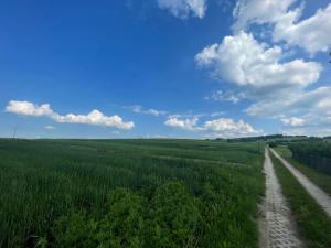 Domy na Roztoczu Aleja Lipowa - dom H