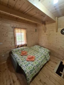 Log - cabin HOPE