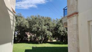 The Olive Garden Apartment