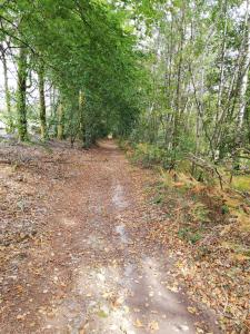 gîte et chambres dhôtes
