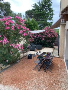 Maisons de vacances Au coeur de la Pinede de 1 a 4 personnes : photos des chambres