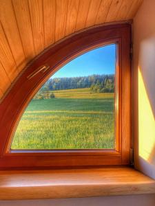 Dziejba Leśna Apartamenty &Spa - piękne i nowe apartamenty i domek, sauna i jacuzzi - W CENIE I NA WYLACZNOŚĆ, 1 km od stoku