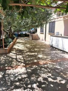 Norma 1