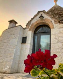 Trulli Manuela (il fragno)