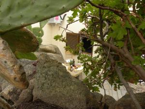 Villa Carlotta la Maddalena img20