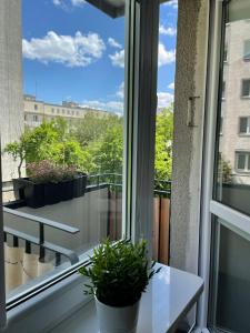 MK Apartment Przytulny apartament 10 min od morza