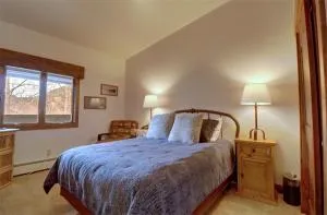 CV210A Copper Valley Hotel Room condo - Copper Mountain