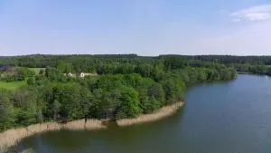 Buwełno Rest - Góra