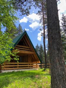 The Pine Forest Cottage
