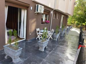 Apartment Evgenija