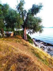 Villa Leonidas GreeceFiloxenia