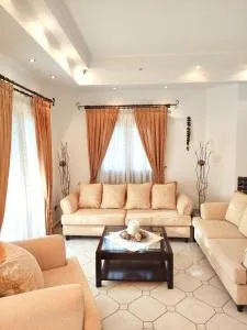 Anastasiou Home in central crossroad - Paramythia