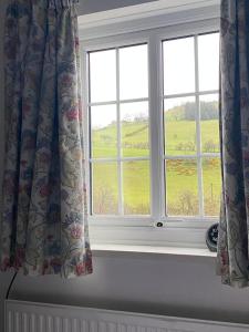 Dinas Castle Inn (The Dragons Back)