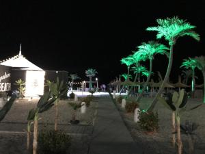 Anias Front View of the Black Sea 13