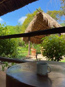 Encantadora Villa Maya tradicional en Rancho Agroecologico