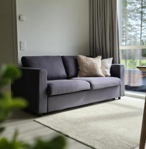 Uusi viihtysä 4-hengen loma-asunto hiekkasärkillä