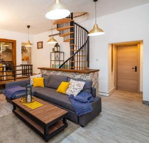 Villa Eximia Novigrad