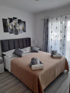 Apartman Lucy