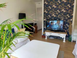 Maisons de vacances Maison de 3 chambres avec jardin clos et wifi a Lens : photos des chambres