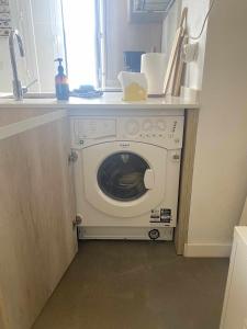 Erizo 4 Estudio en el Centro Histórico