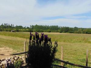 Secret & Secluded Sedlescombe