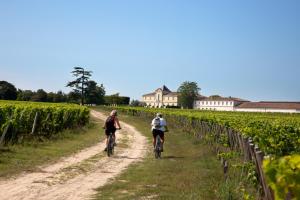 B&B / Chambres d'hotes Wine Hote Chambre d'hotes : photos des chambres