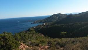 Bel appartement avec vue mer