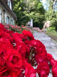 Maisons de vacances 