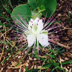 B&B Finestre Tra Gli Ulivi