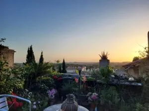 Un nid sur les toits face au palais des papes - Caderousse