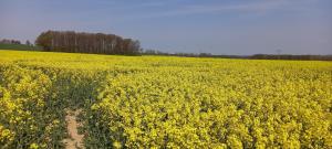 Ferienhof mit Bergblick