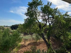 Mas Coeur Provence Calme Beauté Grand Parc