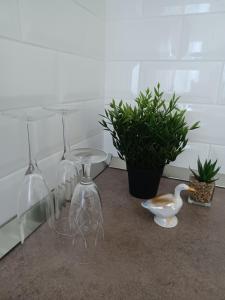 Guest House Doležal