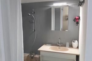 Appartements Studio sur parc proche centre et telecabine : photos des chambres