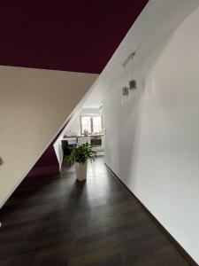 Apartament Podczerwone