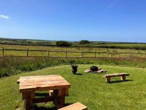 Shepherds Hut in a private meadow with sea views
