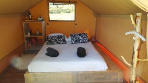Tentes de luxe LOVE HORIZON : photos des chambres