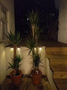 Stylish Apartment 5 minutes from Station w Garden