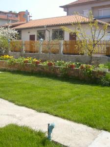 Сотирови, самостоятелни стаи