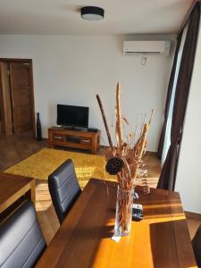Apartman Dana - Dobre Vode
